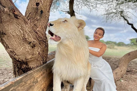 Moshi/Arusha : Day trip serval wildlife & Masai village tour Moshi / Arusha: Visit to Maasai Village