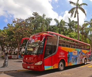 Panoramic Sightseeing City Tour and Aquarium