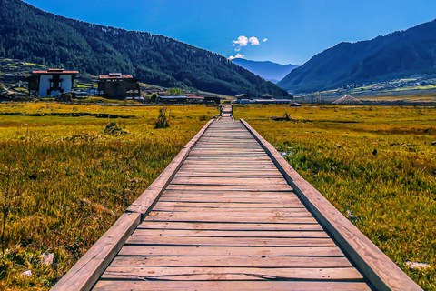 Bhutan: 4-Day Paro and Thimphu Cultural Tour