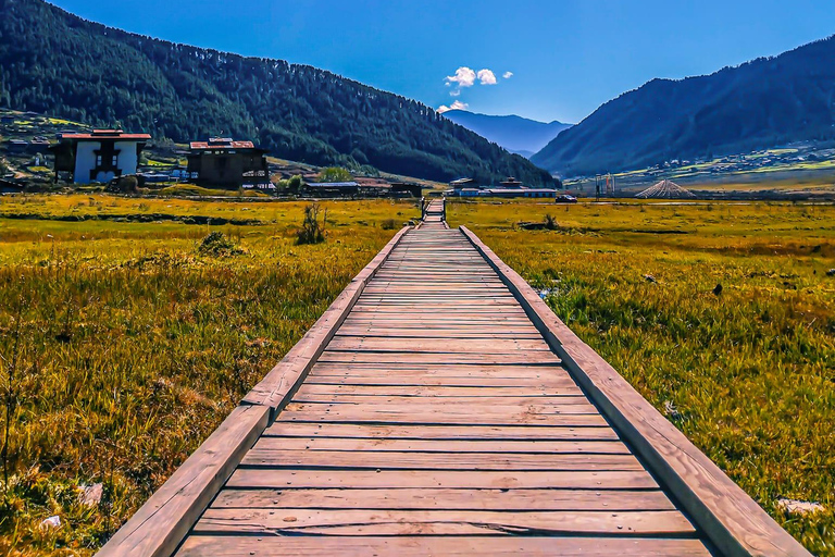 Bhutan: 4-Day Paro and Thimphu Cultural Tour