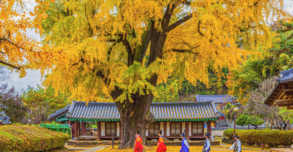 Von Seoul: Tagestour zum Hanok-Dorf Jeonju