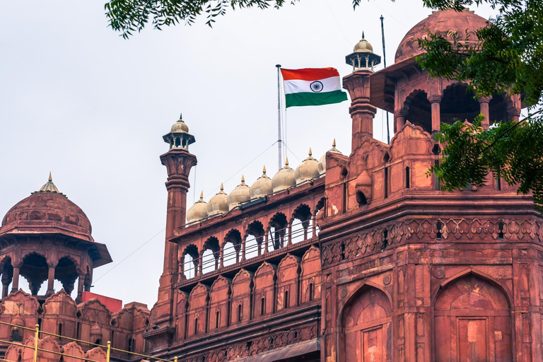 Delhi: Old Delhi and Red Fort Guided Tour with Hotel Pickup Spanish/German/Italian/French Language Guide