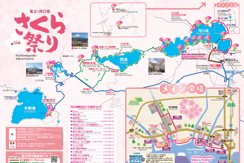Tokyo:Cherry Blossom Mt Fuji & Shibazakura Festival Day Trip 07:30 Pick&Drop from Hotel/BnB