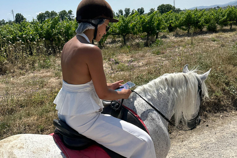 Alicante: przejażdżka konna po górach Maigmó, piknik i transferAlicante: Wycieczka konna na górę Maigmó, piknik i transfer