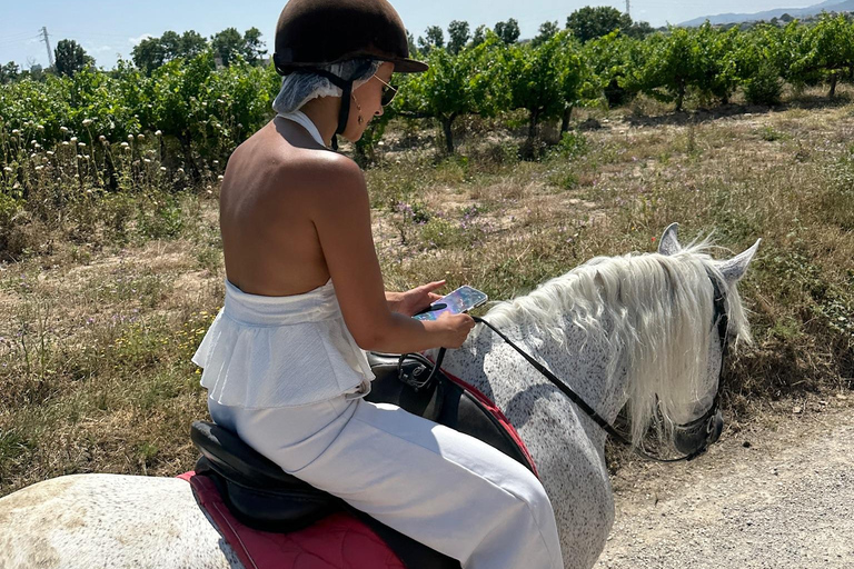 Alicante: przejażdżka konna po górach Maigmó, piknik i transferAlicante: Wycieczka konna na górę Maigmó, piknik i transfer