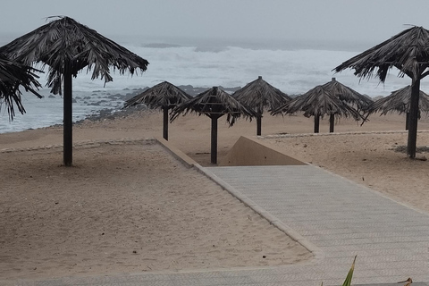 From Salalah: Darbat Valley Guided Tour with Boat Ride