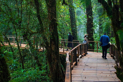 Chiang Mai: Najważniejsze atrakcje Parku Narodowego Doi Inthanon