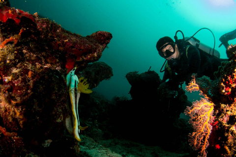 Plongée sous-marine à Boracay : Certification SSI Advanced OW