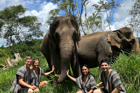 Chiang Mai: One Day Eco-Trek, Elephant care & Bamboo Rafting