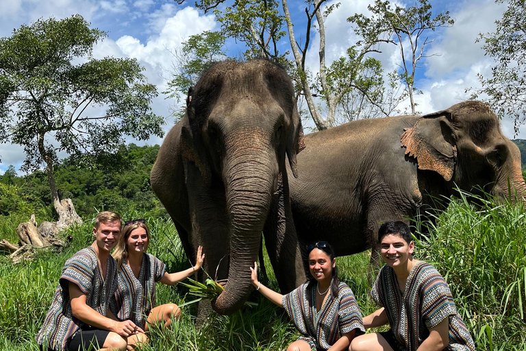 Chiang Mai: One Day Eco-Trek, Elephant care & Bamboo Rafting