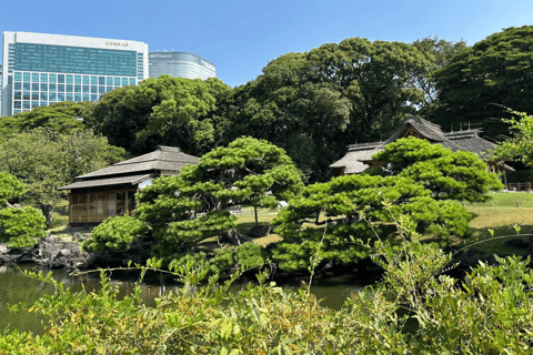 Tokyo–Haneda: Garden, Samurai & Torii Private Tour Tokyo hotel → Haneda Airport