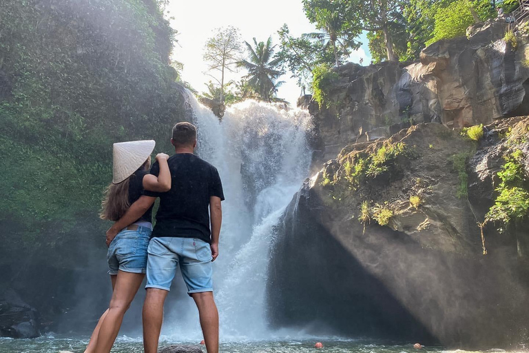 Ubud Waterfall, Temple, Rice Terrace & Art with Transfers