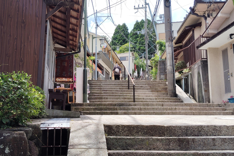 Nara: Führung durch den Hozan-ji-Tempel mit Seilbahnfahrt