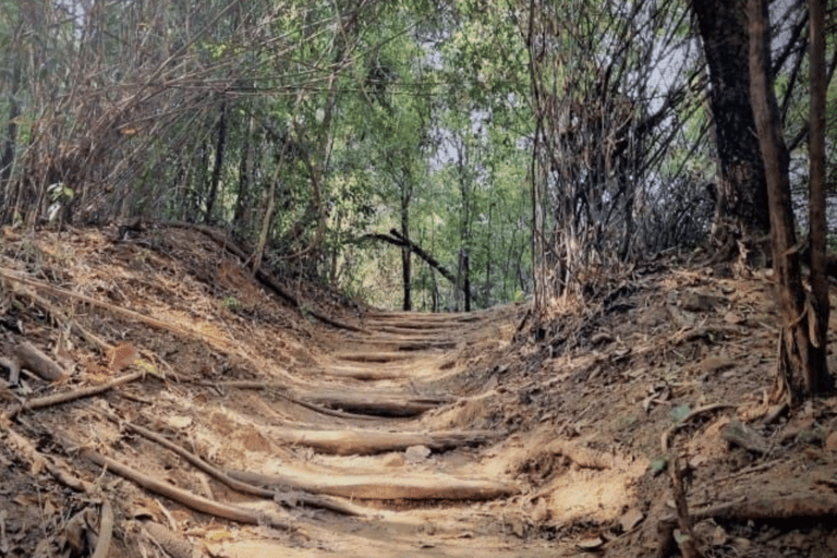 Chiang Mai: Hmong Village, Doi Suthep and Wat Pha Lat Trek