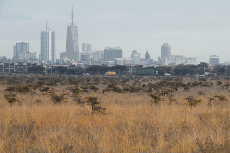 Nairobi: National Park Private Tour with Lunch at Carnivore Nairobi: National Park Private Tour without Lunch