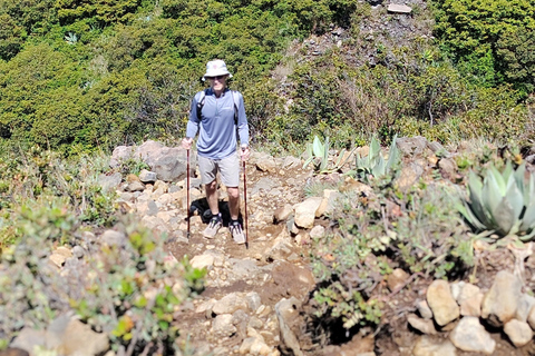 Santa Ana: Private Volcano Hike and Lunch with Lake View