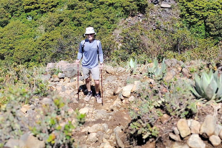 Santa Ana: Private Volcano Hike and Lunch with Lake View
