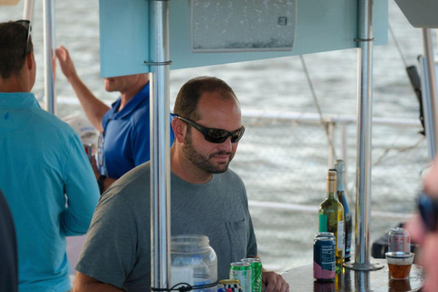 Charleston: Saturday Afternoon Harbor Sail on a Catamaran