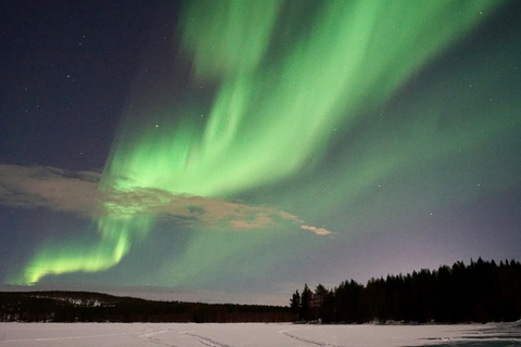 From Rovaniemi: Northern Lights Photo Tour with Pickup