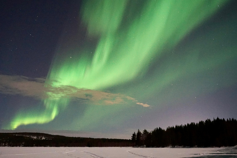 From Rovaniemi: Northern Lights Photo Tour with Pickup