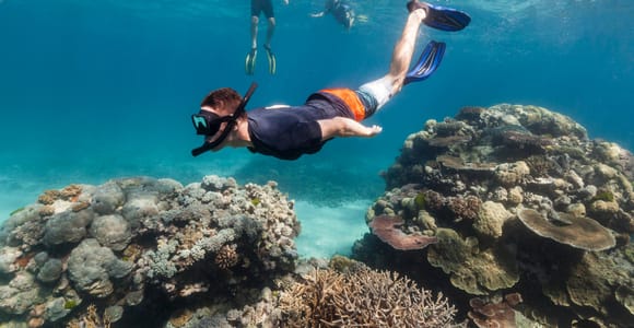 Muscat: Dolphin Watching and Snorkeling Tour