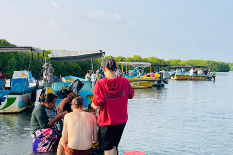 From Negombo: Boat Tour of Negombo Lagoon