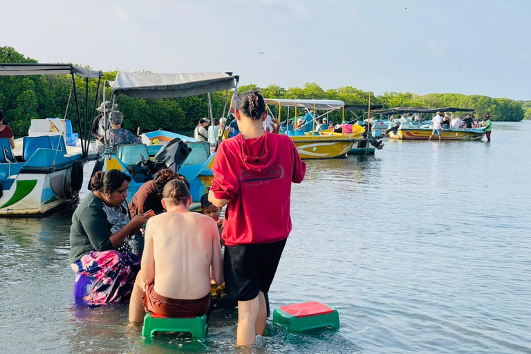 From Negombo: Boat Tour of Negombo Lagoon