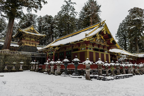 Aventura de Élite en Nikko: Tour guiado privado