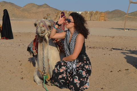 Hurghada: Camel Ride & horse ride and Off-Road Jeep Tour pickup from hotels inside hurghada