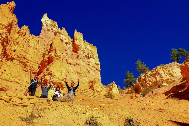 Van Las Vegas: Zion en Bryce National Park overnachtingstourGedeelde tour: accommodatieoptie