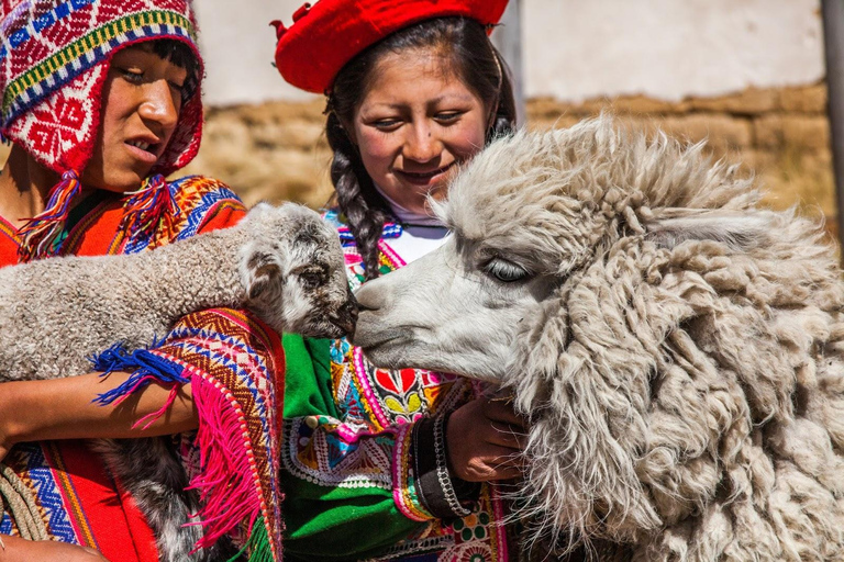 Cusco : Transfert privé de Cusco à Awana Kancha