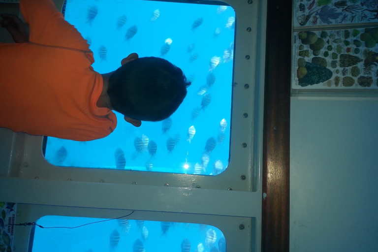 Saona Island by semi-submarine and snorkeling from Bavaro / Punta Cana.