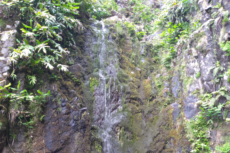 Flores Island in 3 Days – Waterfalls, Lagoons, and Local Guide (Corvo Option) 3-Day Tour – Flores Island + Corvo Island