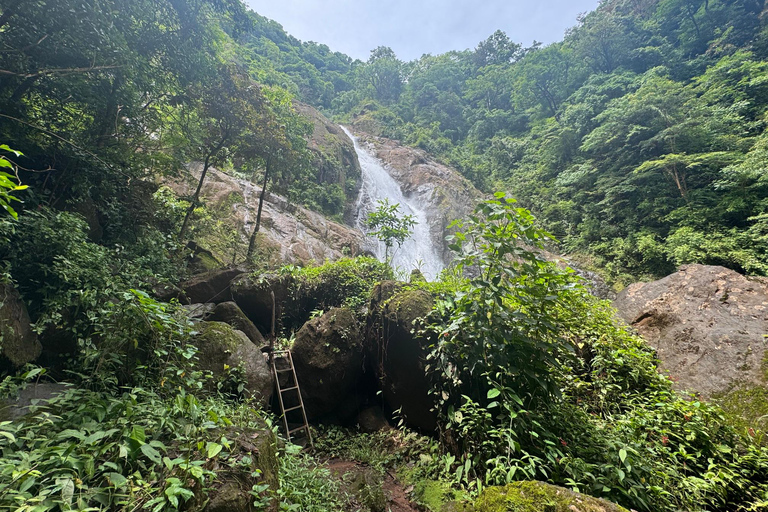 Bijagual Jungle Waterfall Hike & Herradura Beach Adventure