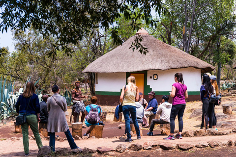 6 dagen van de beste ervaring van Johannesburg