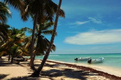 Punta Cana: Full Day Excursions Saona Island VIP Catamaran
