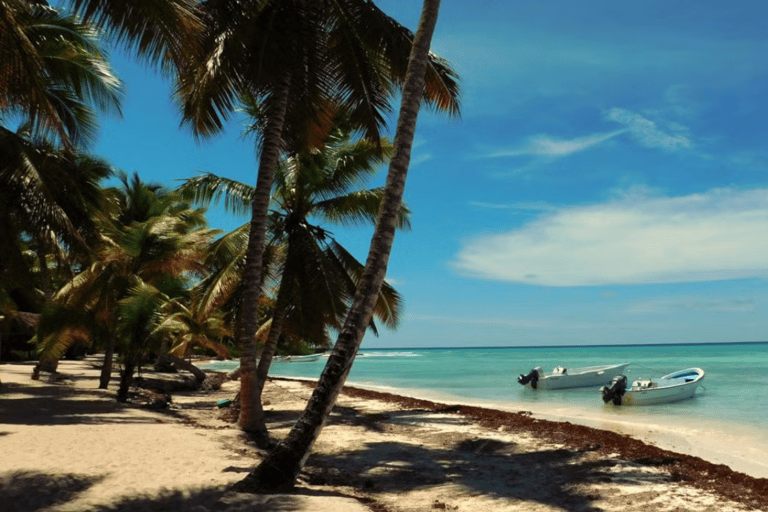 Excursión a la Isla Saona: Paraíso Tropical con AlmuerzoPunta Cana: Excursiones de día completo Isla Saona Catamarán VIP