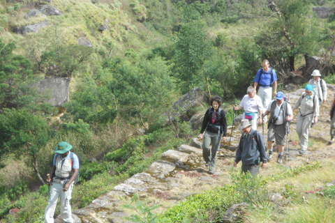 Trekking z Kandy do Ella