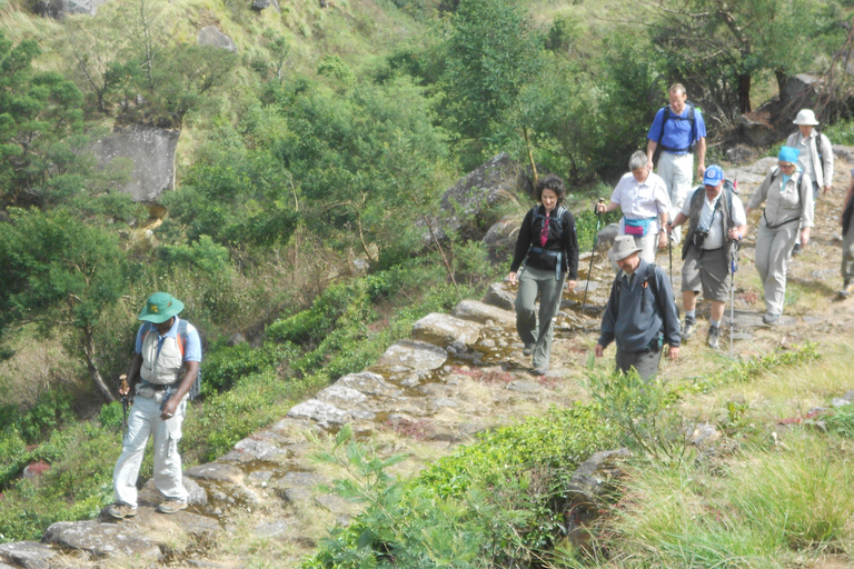 Trekking z Kandy do Ella