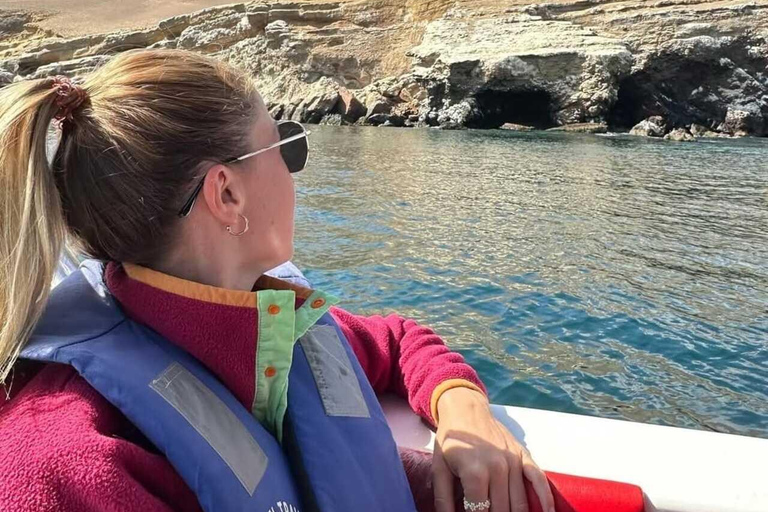 Ica: Full day to the Ballestas Islands and the Paracas National Reserve Ica: Full Day to the Ballestas Islands and Paracas National Reserve