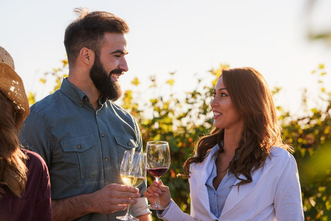 رحلة نصف يوم إلى شيانتي: تذوق قلب توسكاناخيار المجموعة الصغيرة (حتى 30 شخصًا)