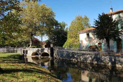 Panoramic Toulouse, e-bike ride, and cable car