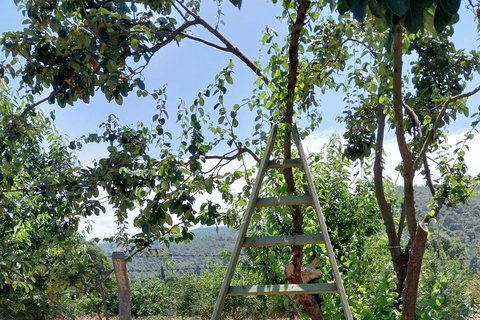 Kusadası: Countryside Tour with Lunch and Drinks