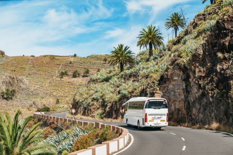 Desde el sur de Tenerife: tour por la isla de La Gomera