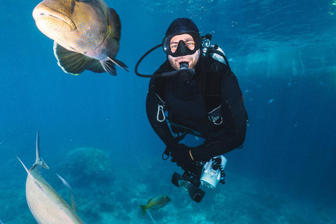 Hurghada: Scuba Diving for Certified Divers & Beginners Boat trip for the Certified Divers with Lunch & Transfer