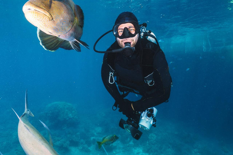 Hurghada: Scuba Diving for Certified Divers & Beginners Boat trip for the Certified Divers with Lunch & Transfer