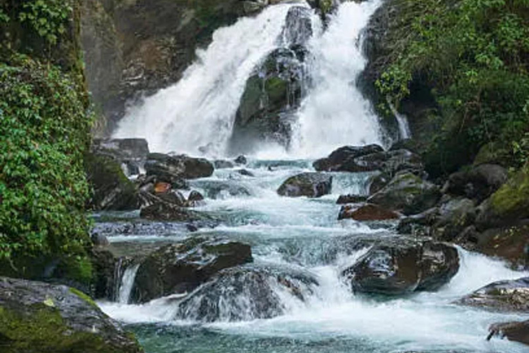 Pokhara: Gosaikunda Lake 7-Day Trek with Guide