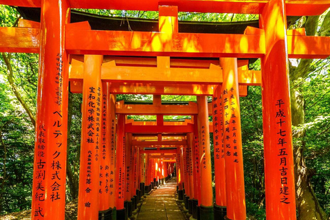 كيوتو/نارا: جولة عائلية ممتعة وثقافية بالسيارة مع خدمة التوصيل من الفندق