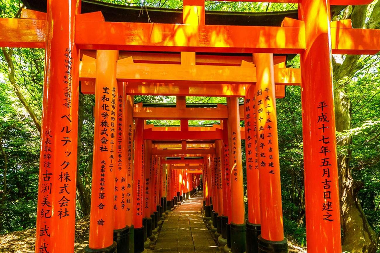 كيوتو/نارا: جولة عائلية ممتعة وثقافية بالسيارة مع خدمة التوصيل من الفندق