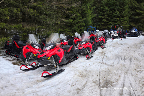 From Bucharest: Private Snowmobile Adventure & Castles Tour
